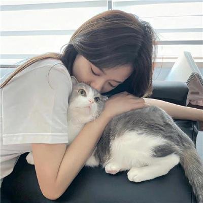 爱是一只猫